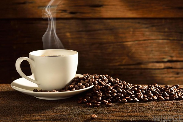 informasi ekspor kopi ke arab hari ini