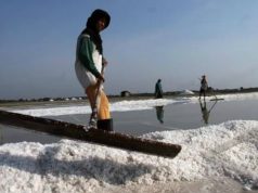 pemerintah indonesia ajukan rencana impor garam