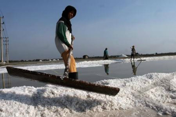 pemerintah indonesia ajukan rencana impor garam