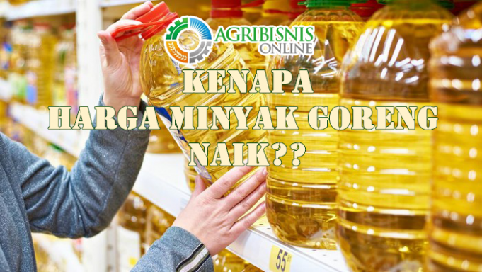 Penyebab Harga Minyak Goreng Naik